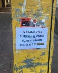 gülşah tweet media