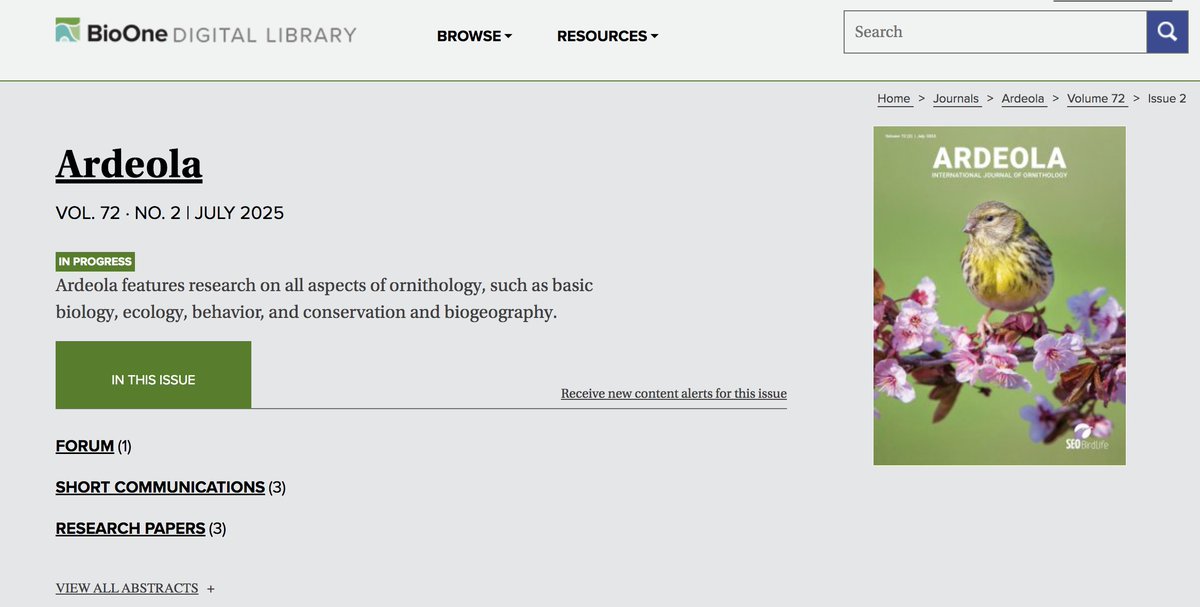 👨‍💻El volumen digital de julio de 2025 sigue en marcha incorporando nuevos contenidos.
📝...muy pronto con más artículos, las tesis doctorales en #ornitología y las reseñas bibliográficas.  
ℹ️ ardeola.org/es/volumenes/7… #ornithology #CienciaConAves