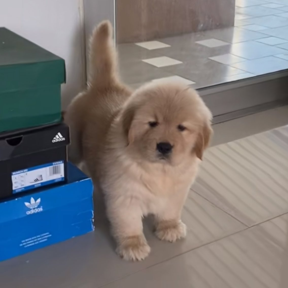 takemybear's tweet image. เปิดปะตูเดี๋ยวนี้ อย่าให้ต้องใช้กำลัง