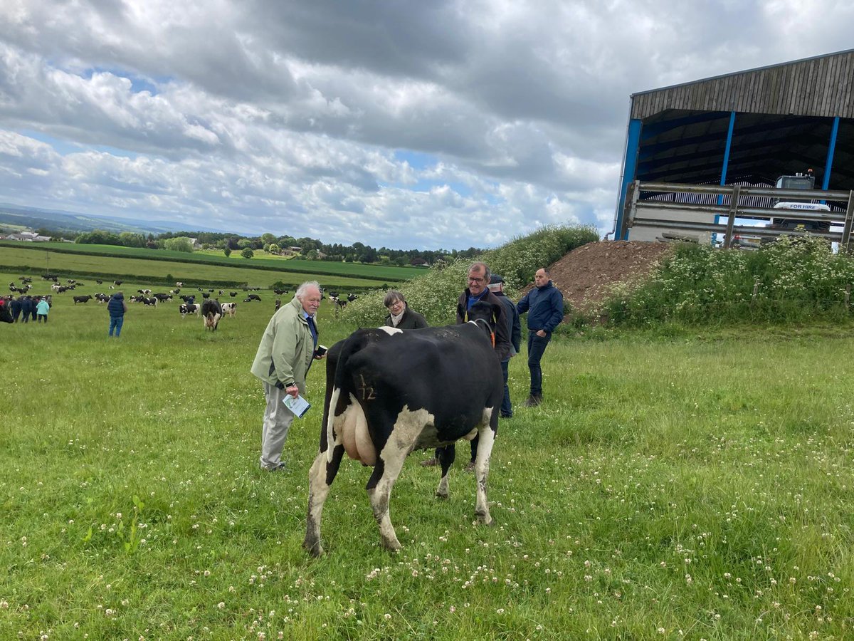 CIS Area Manager, Karen Scullion, is enjoying the second of the British Friesian Herd Visits today at the CIS recorded herd, Queenscairn, in Stichill, Kelso, by kind permission of the Shanks Family.

A great opportunity to celebrate the strengths of the British Friesian breed 🇬🇧