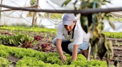 Jorge Emilio Rey Ángel (@jorgeemiliorey) on Twitter photo #Cundinamarca, según el último informe publicado por el <a href="/DANE_Colombia/">DANE Colombia</a>, ocupa el cuarto lugar entre los departamentos que más aportan al Producto Interno Bruto (PIB) del país, después de #Antioquia, #Valle y #Santander. El departamento pasó de una participación del 6,30% en el #Cundinamarca, según el último informe publicado por el <a href="/DANE_Colombia/">DANE Colombia</a>, ocupa el cuarto lugar entre los departamentos que más aportan al Producto Interno Bruto (PIB) del país, después de #Antioquia, #Valle y #Santander. El departamento pasó de una participación del 6,30% en el