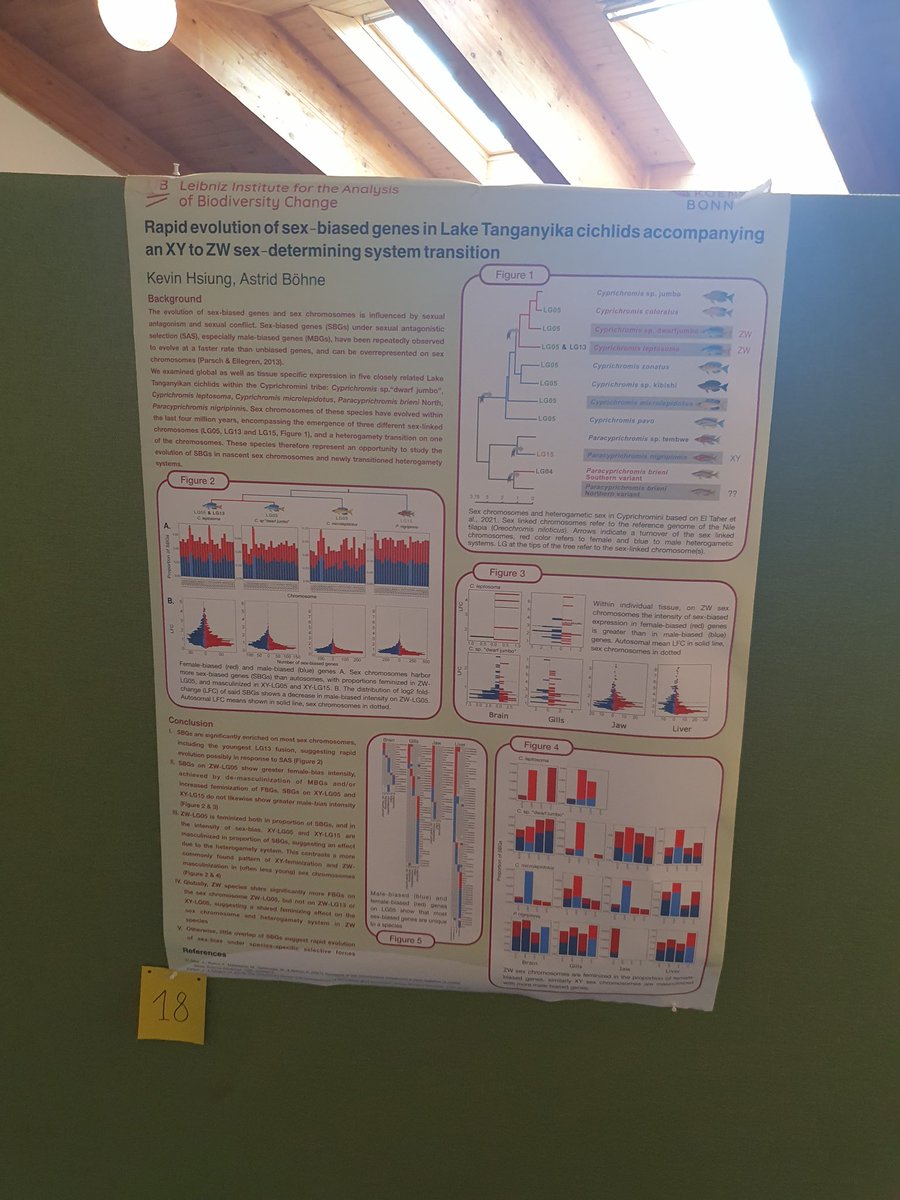 AchilleLenglin's tweet image. First day of presentation yesterday, full of super interesting talks and posters, can't wait to find out more the rest of the week with @EMPSEB30