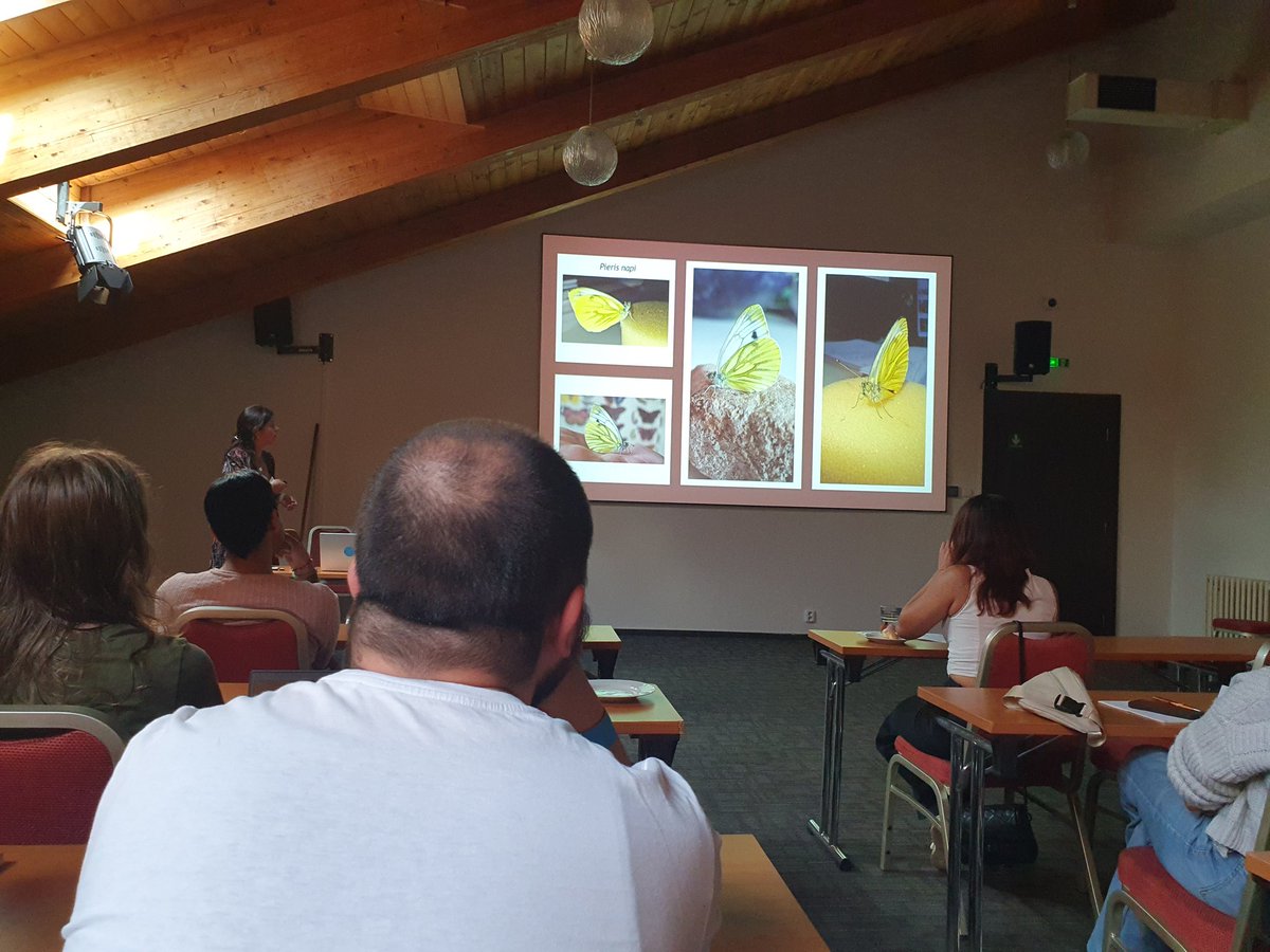 AchilleLenglin's tweet image. First day of presentation yesterday, full of super interesting talks and posters, can't wait to find out more the rest of the week with @EMPSEB30