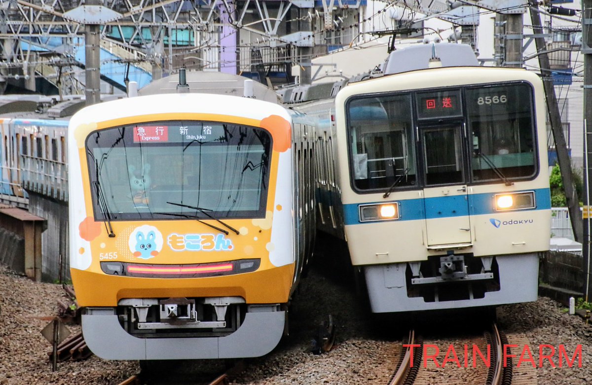 TrainFarm's tweet photo. もころん号1周年との事で
今回は向ヶ丘遊園の電留線入線した際の記録。
MSEもころんヘッドマークとも離合となり
ました。 https://t.co/Bk3UwkJJUo