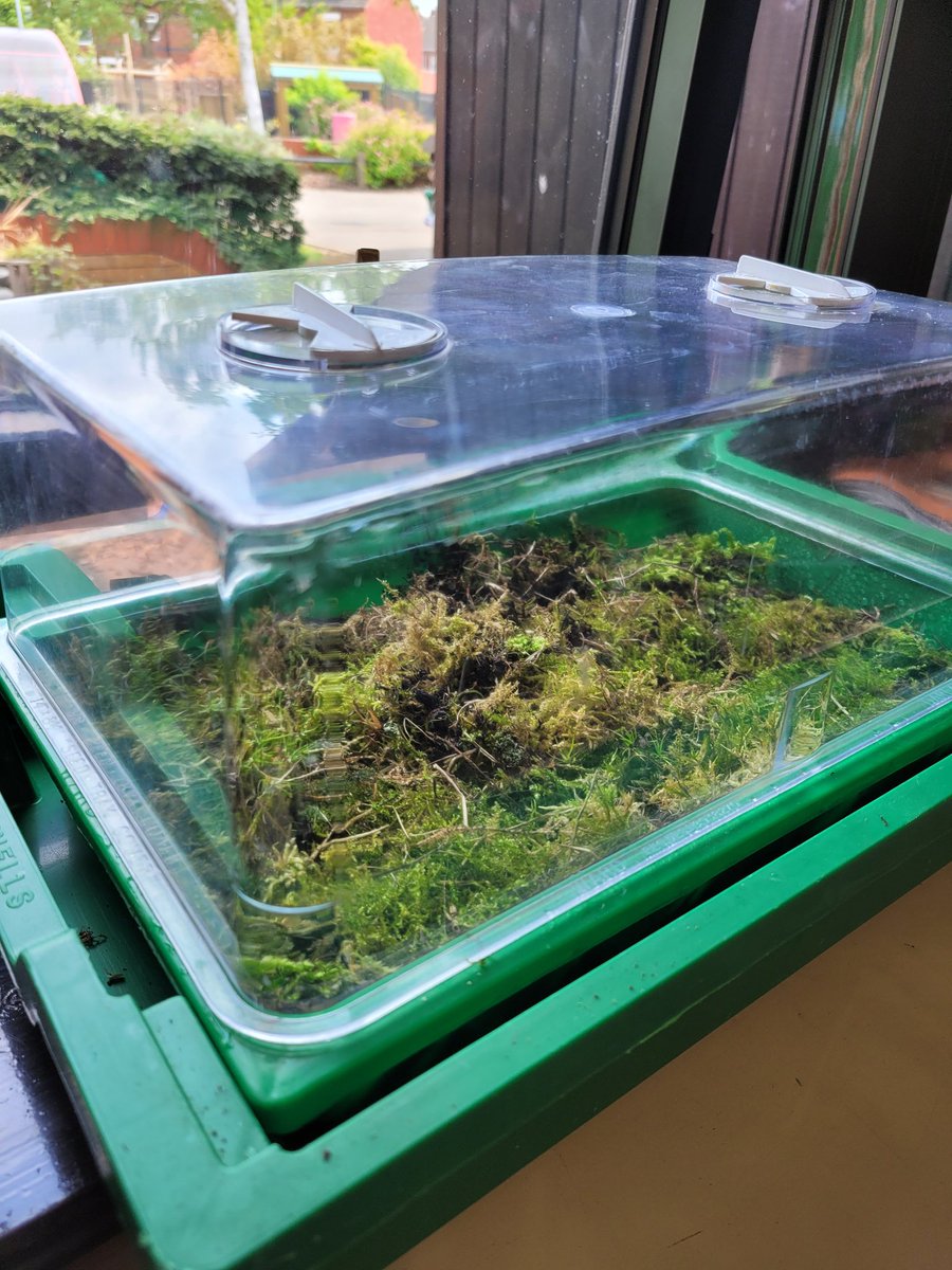 Miss Linklater (@misslinklater) on Twitter photo A great way to link our learning together through different areas of the curriculum by <a href="/ChipperfieldYr4/">Miss Chipperfield</a> . Year 4 have begun to grow their own rainforest to see if it can sustain its own ecosystem. A great lesson!
<a href="/BoothferryPS/">Boothferry Primary #weareBoothferry</a> <a href="/MissRamskill/">Miss Ramskill</a> A great way to link our learning together through different areas of the curriculum by <a href="/ChipperfieldYr4/">Miss Chipperfield</a> . Year 4 have begun to grow their own rainforest to see if it can sustain its own ecosystem. A great lesson!
<a href="/BoothferryPS/">Boothferry Primary #weareBoothferry</a> <a href="/MissRamskill/">Miss Ramskill</a>