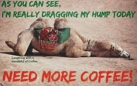 Happy Wednesday all!