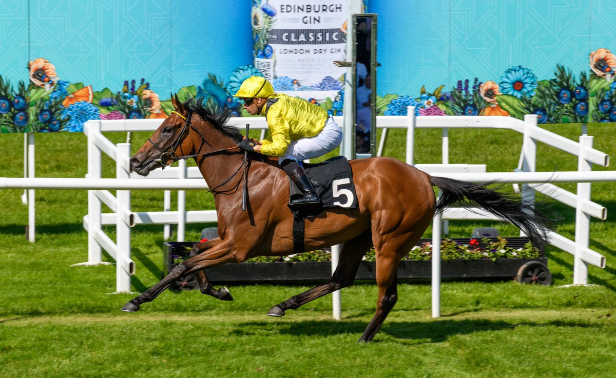 Jabaara Aims to Repeat Triumph in Edinburgh Gin Queen of Scots Stakes at Musselburgh Racecourse

Top weight in the £50,000 Edinburgh Cup Handicap at Musselburgh this Saturday is the Roger Varian trained Sallaal, ridden by Silvestre De Sousa 👀

Read more👇🏻
bit.ly/3FDkRXP
