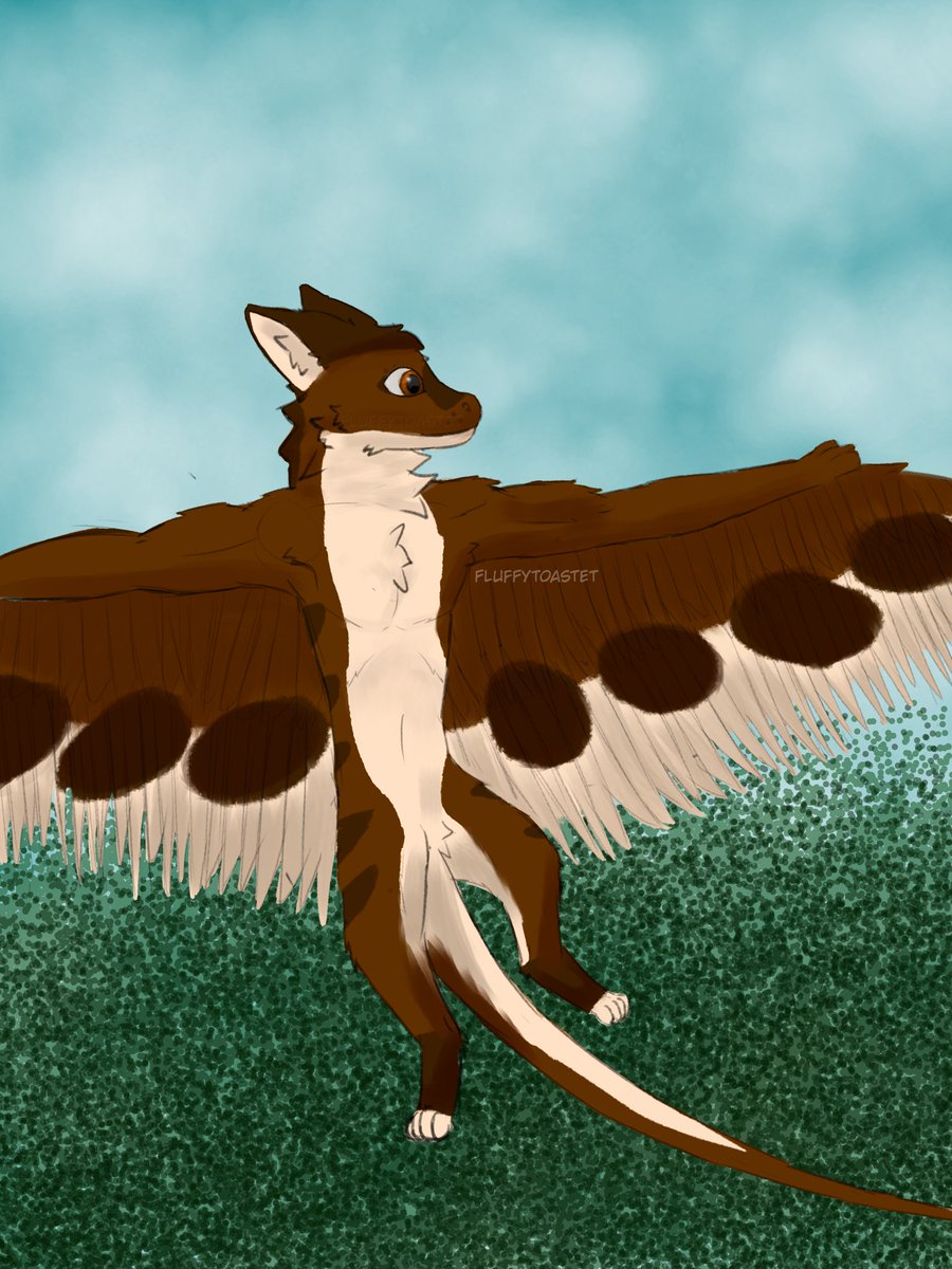 fluffytoastet's tweet image. Since I deleted my old pinmed in a mental breakdown here's new one
.
I draw sometimes
Although I post weird things, I am still an asexual minor, so please stop trying to get freaky with me in dms
Really inconsistent art style
@RubbingMyPaws is my art only acc
