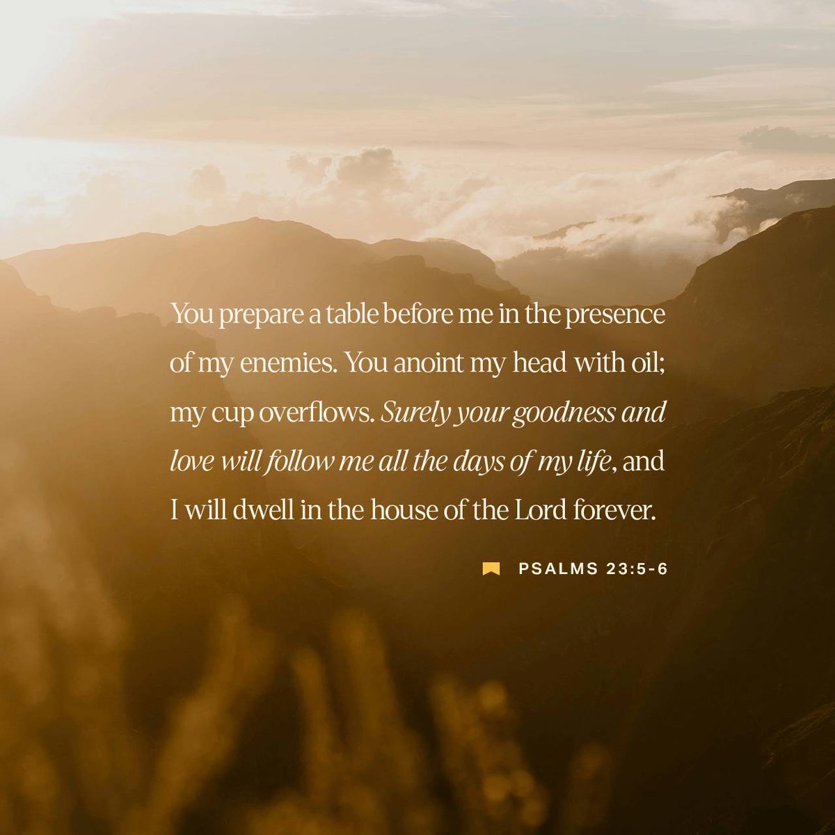 Psalm 23:5-6 KJV
[5] Thou preparest a table before me in the presence of mine enemies: Thou anointest my head with oil; my cup runneth over. [6] Surely goodness and mercy shall follow me all the days of my life: And I will dwell in the house of the LORD for ever.