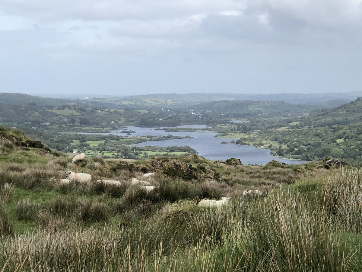Lee Valley Walking (@leevalleywalks) on Twitter photo June programme
Sun 8 Valley floor walk Glendav to the old houses - and the foxgloves! 
Tues 10 1pm Gougane Barra 
Sat 14 Boat trip Brandon Cottage and Old Kenmare Rd (part of) 
Tues 17 Bantry 2pm 
Sun 22 Mangerton 
Tues 24th Hill walk Ballingeary 2pm
Sat 28 TBD June programme
Sun 8 Valley floor walk Glendav to the old houses - and the foxgloves! 
Tues 10 1pm Gougane Barra 
Sat 14 Boat trip Brandon Cottage and Old Kenmare Rd (part of) 
Tues 17 Bantry 2pm 
Sun 22 Mangerton 
Tues 24th Hill walk Ballingeary 2pm
Sat 28 TBD