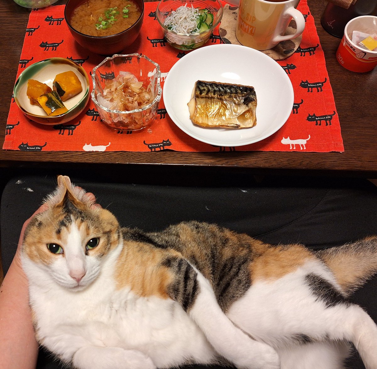 塩サバ新玉ねぎかぼちゃの煮物たべました