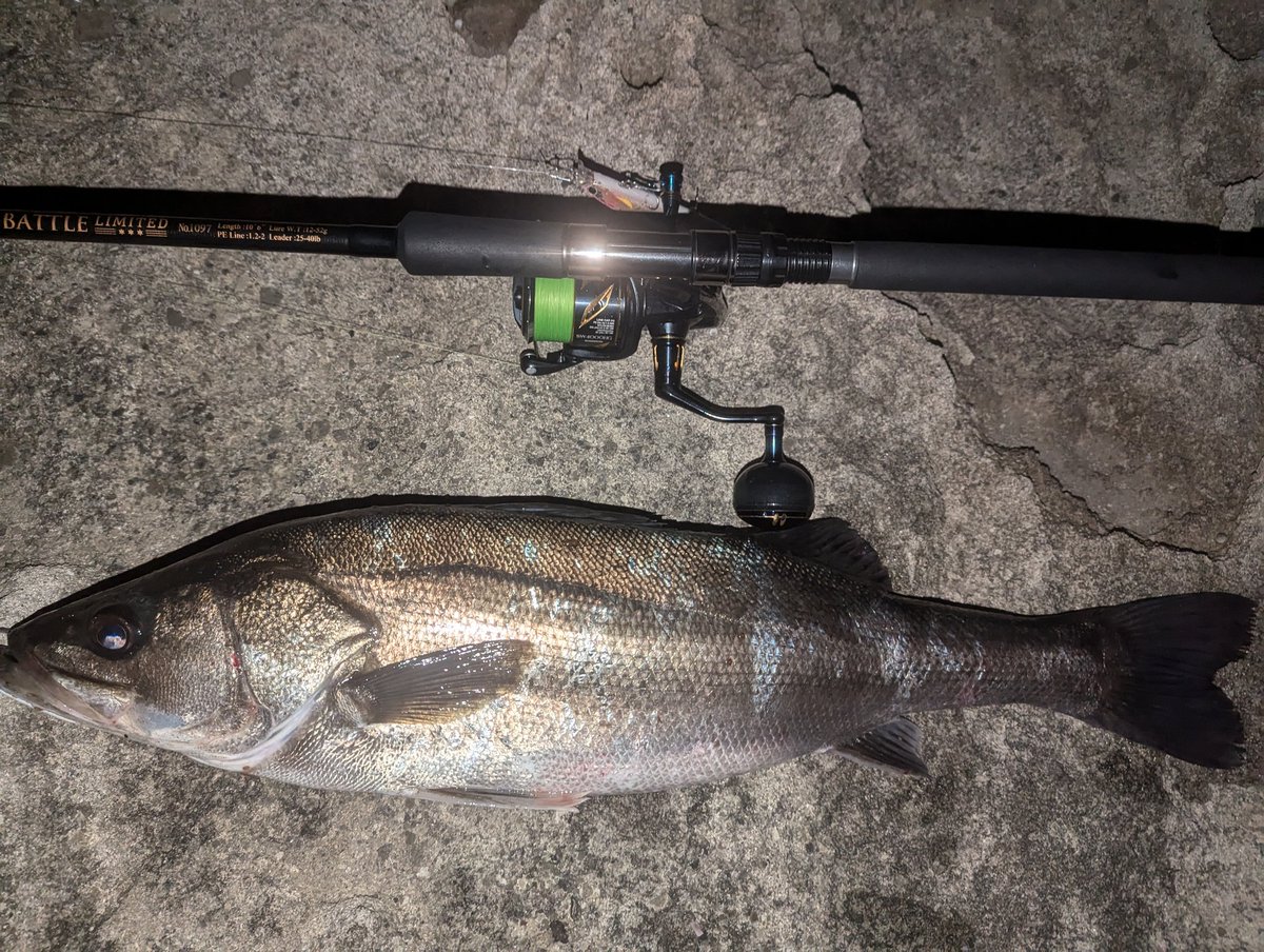 しごおわのサラシ撃ちは不発だったので少し穏やかな場所で夕マズの回遊狙い
#男鹿
#磯マル
#レスポンダー149f