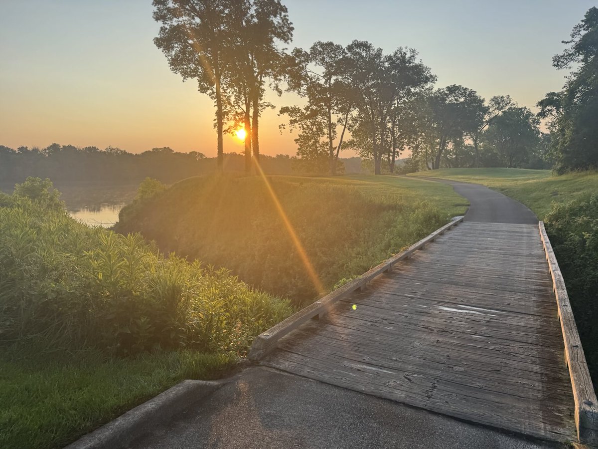 Will Ash tweet media