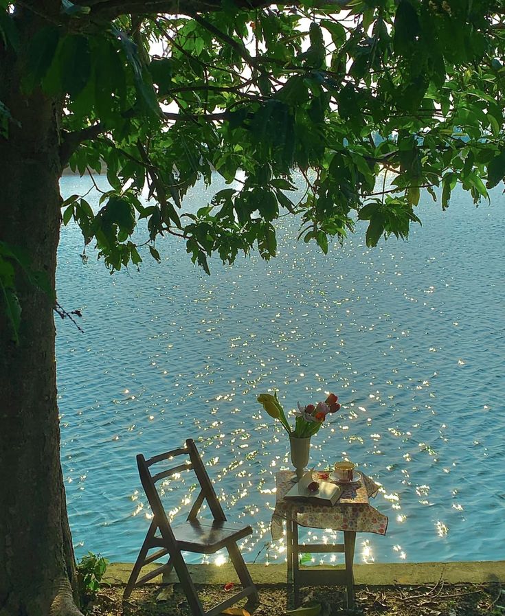 Amazing Nature (@amazingpicshq) on Twitter photo 