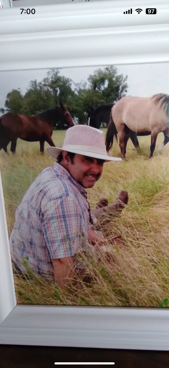 4 años Hermano 🙏sin duda el más Campero