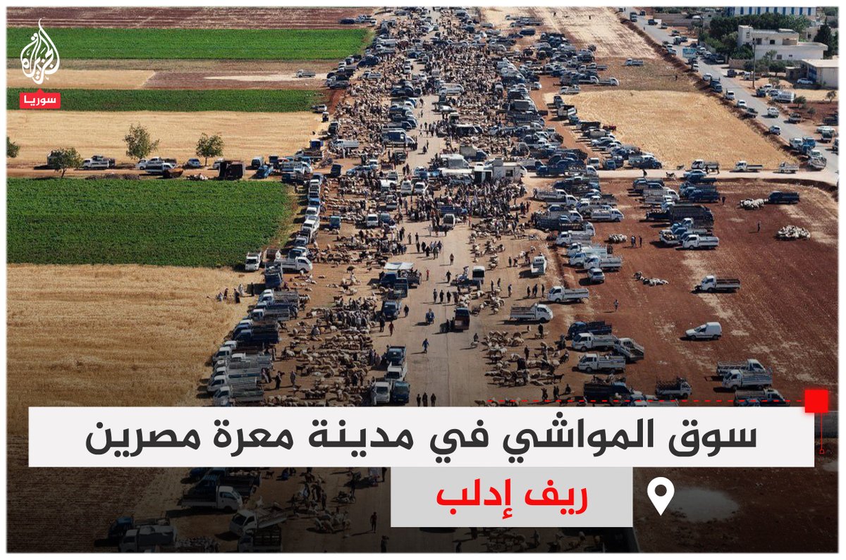 قبيل #عيد_الأضحى.. إقبال من قبل الأهالي على سوق المواشي في مدينة معرة مصرين بريف #إدلب 
#ألبوم