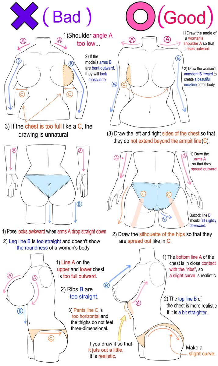 《Drawing Tips》
About body structure and contour drawing.