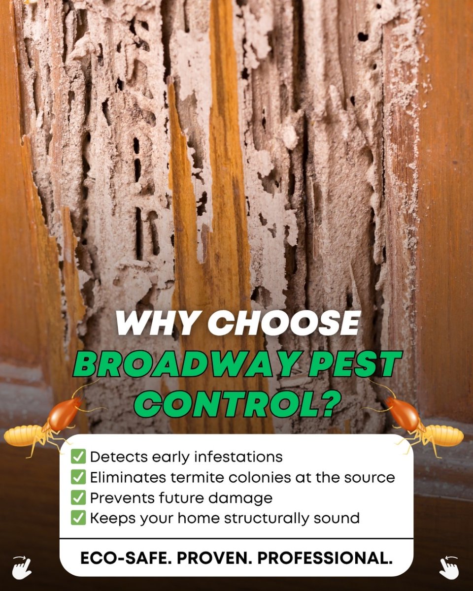 BroadPest93579's tweet image. 🚨 Think your home is safe? So did they... until termites took over.
Termites are silent destroyers, causing thousands in damage before you&apos;re even aware.

☎+1 236-668-4372
🌐 broadwaypestcontrol.ca

#TermiteControlCanada #PestControlServices #BroadwayPestControl