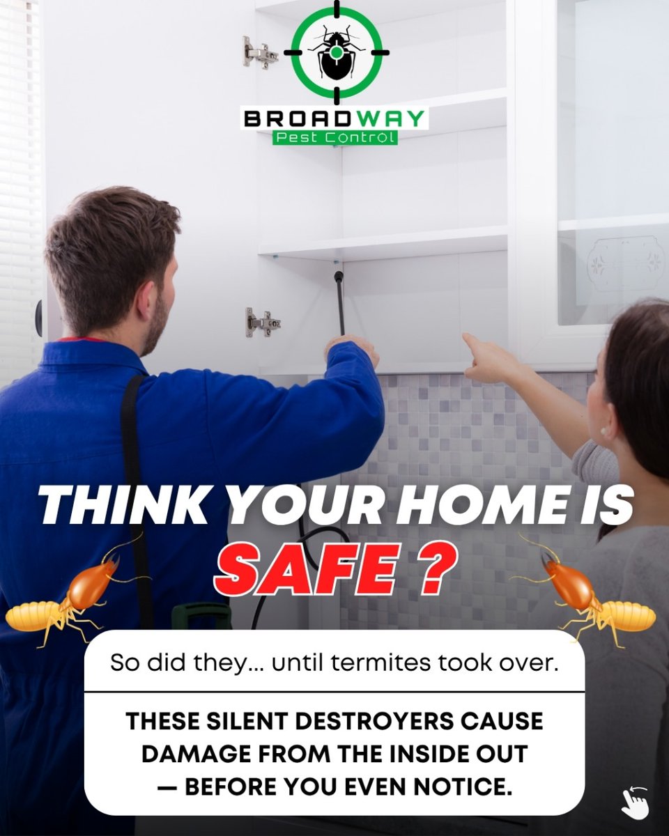 BroadPest93579's tweet image. 🚨 Think your home is safe? So did they... until termites took over.
Termites are silent destroyers, causing thousands in damage before you&apos;re even aware.

☎+1 236-668-4372
🌐 broadwaypestcontrol.ca

#TermiteControlCanada #PestControlServices #BroadwayPestControl