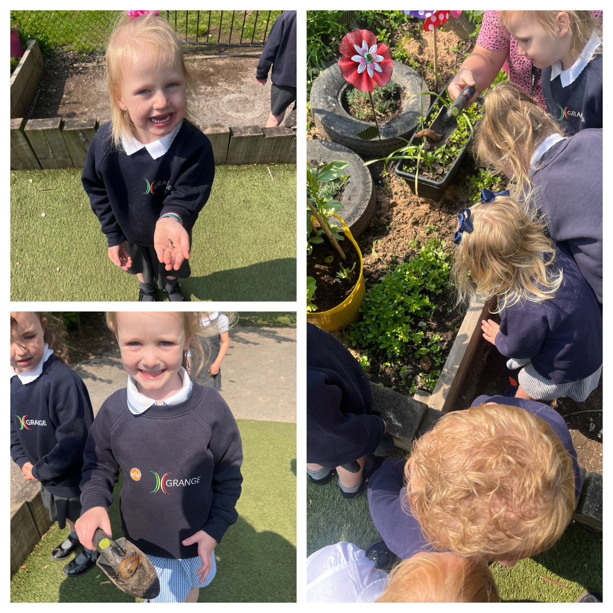 Early Years spent the morning looking for Mini-Beasts in the garden !🪏🌱<a href="/GrangeMissA/">GrangeMissA</a> <a href="/GrangeMissWri/">MissWright</a> <a href="/GrangeMissP/">Miss Pope</a> <a href="/GrangeMrsJ/">@GrangeEYS</a> 
#GrangeAllotments #GrangeScience