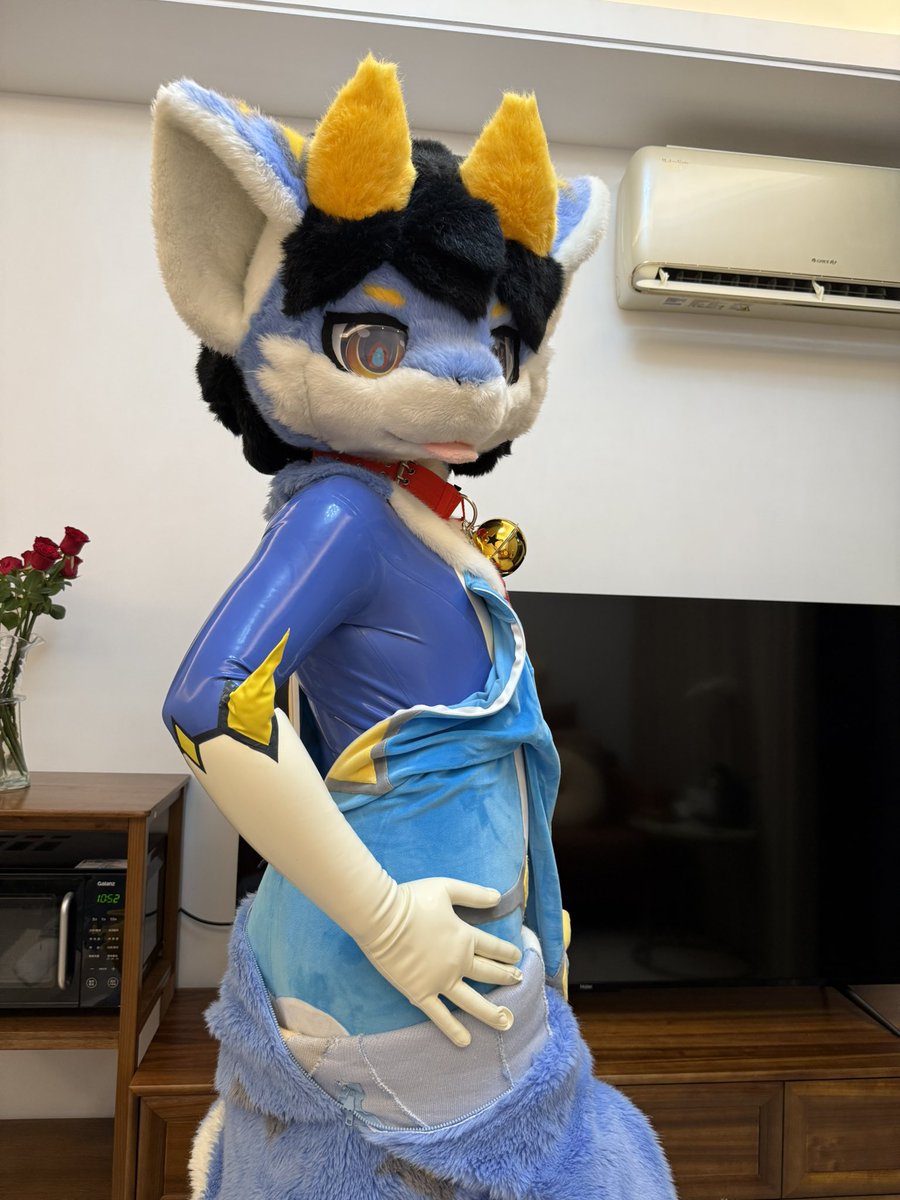 BeastDash's tweet image. 