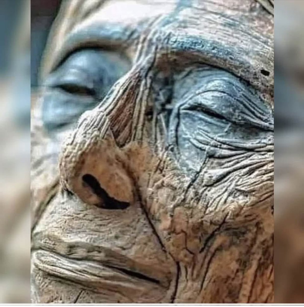 Une découverte dans le désert du Sahara2 momies, âgées de plus de 7 000 ans, ont été exhumées dans un état remarquable de conservation.Mais ce n'est pas leur ancienneté qui intrigue la communauté scientifique : c'est leur ADN...
Un ADN qui ne correspond à aucun être humain connu.
