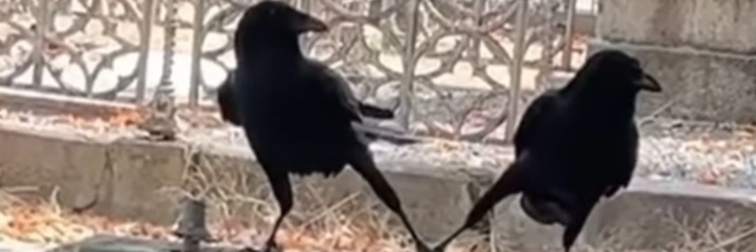 Think about it🪰🌟🌟🌟😎🤟👌✌🤞 ✨Naaaaia ❤🤍❤🕊 (@vandelakers) on Twitter photo 