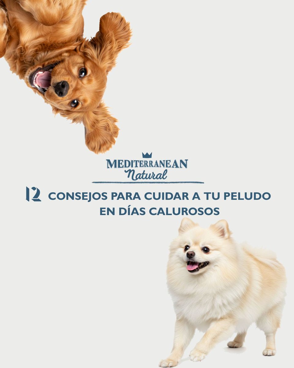 Mediterranean Natural tweet media