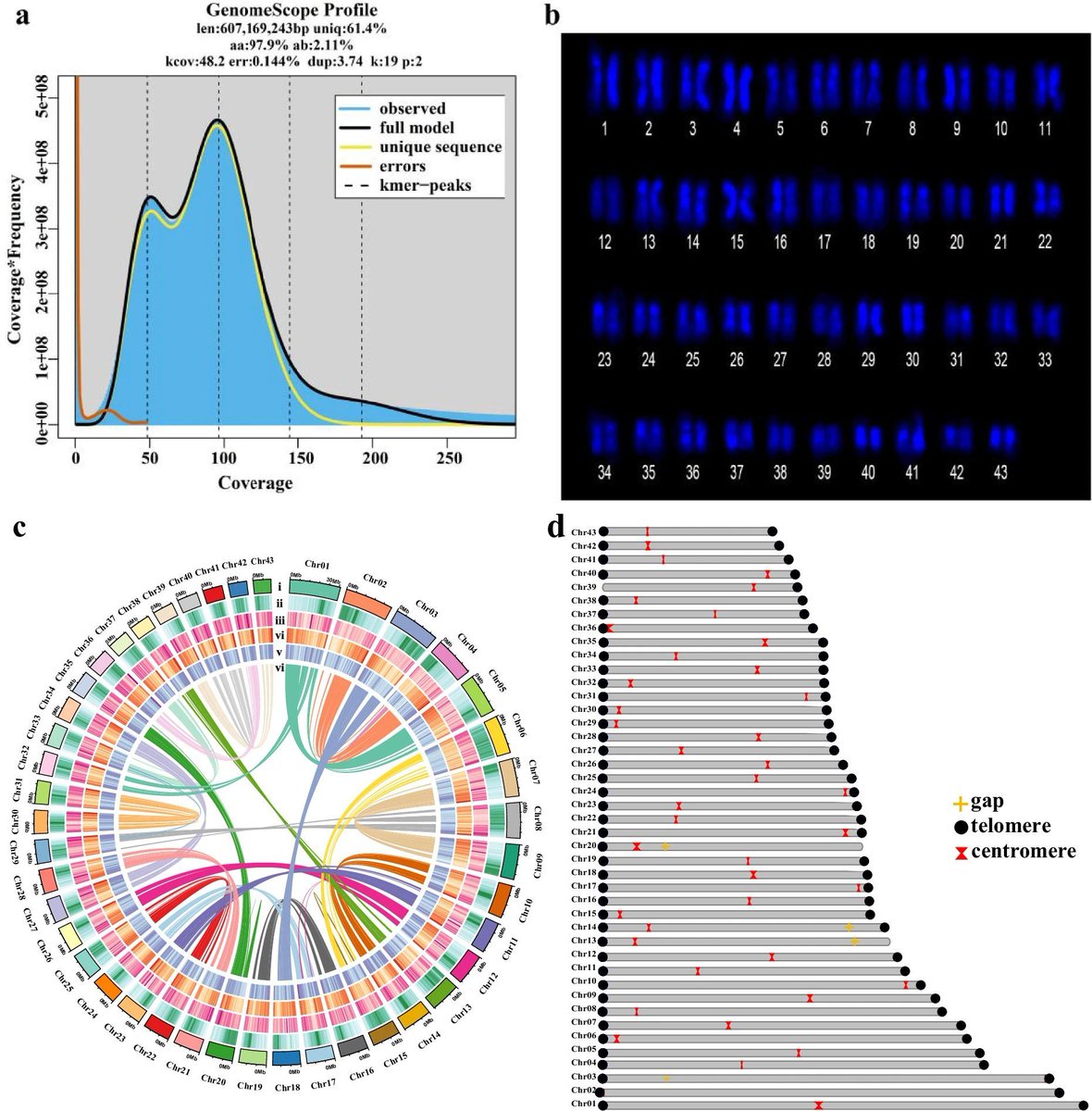 Javier Santoyo (@jsantoyo) on Twitter photo The high-quality telomere-to-telomere genome assembly of the earthworm (Amynthas aspergillum). #EarthwormGenome #ChromosomeLevelAssembly #Genomics <a href="/ScientificData/">Scientific Data</a>
nature.com/articles/s4159… The high-quality telomere-to-telomere genome assembly of the earthworm (Amynthas aspergillum). #EarthwormGenome #ChromosomeLevelAssembly #Genomics <a href="/ScientificData/">Scientific Data</a>
nature.com/articles/s4159…