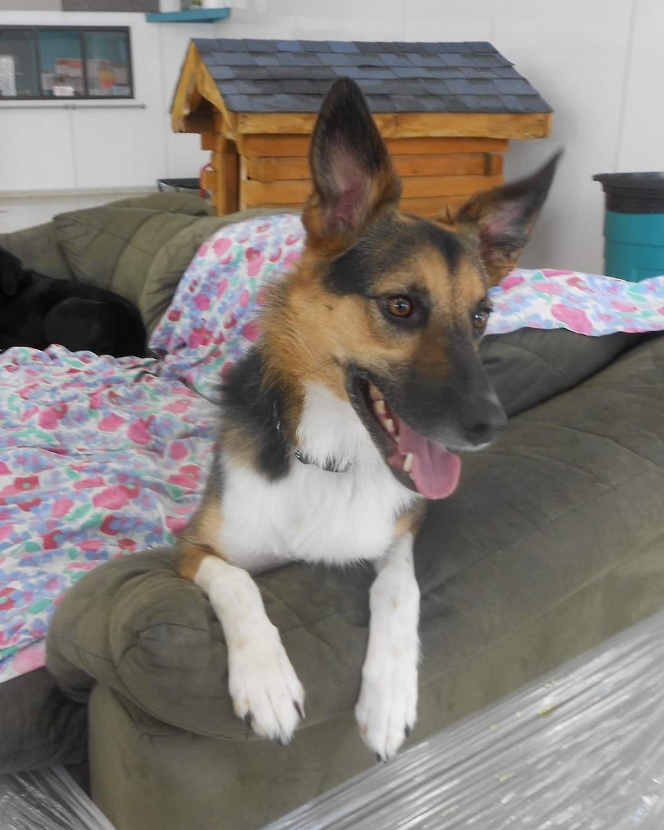 LemanRuss tweet media