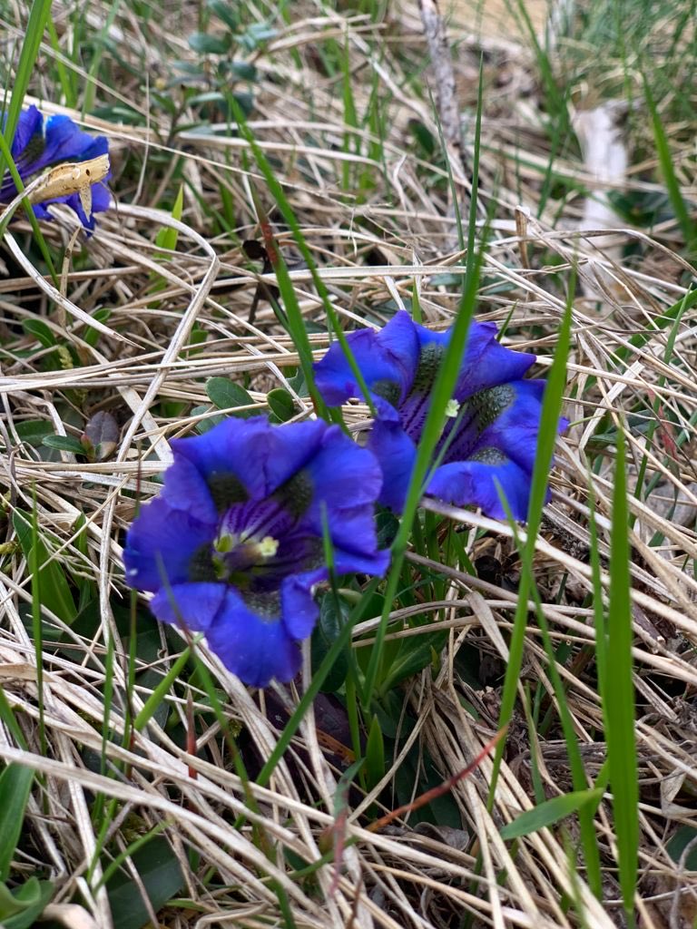 Buongiorno 🪻☀️