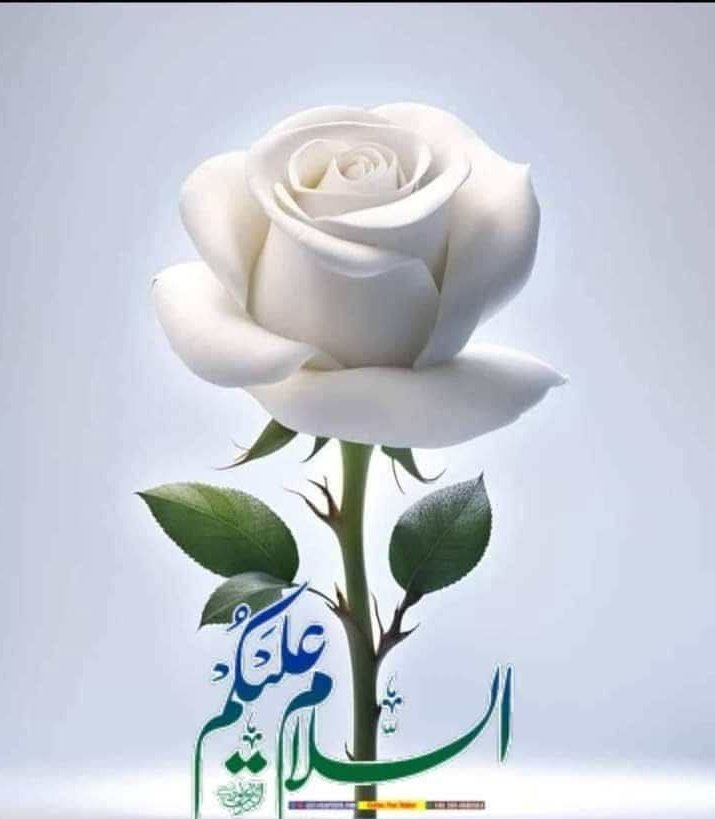 Hammad Hussain 🇮🇶 🇩🇪 🇮🇷 🇹🇷 (@hammadh42886717) on Twitter photo <a href="/ggggggggy4548/">.</a> <a href="/halawa707/">حلاوة 🍯 حلاوة احيتاطى هلا هلا</a> <a href="/rfyfmmd8/">@rfyfmmd8212</a> <a href="/Pookie_92_/">ح 🔻🇵🇰</a> <a href="/mth886_/">هلاهلا</a> <a href="/Anei7746/">Anei Deng</a> <a href="/HLStockenstrom/">HeidiLeeStockenstrom☮️</a> @mrt_770 <a href="/jodie_meek/">salma mohsen💗</a> <a href="/maln123456/">اليمن في قلوبنا</a> @mtf_6666 <a href="/aldwsry11184/">شهد الدوسري</a> <a href="/RoyAtamirano/">Roy Altamirano</a> @toop_70 <a href="/dlal4443325/">D</a> <a href="/farwqaljmy10560/">هاشم</a> @mccii_0 <a href="/WALEDRAHMA1/">وليد رحمه</a> @Ebtsam1875 <a href="/RAlqyfy38198/">ردفان النوفاني القيفي</a> Done
🌙🌙🙋♂️ <a href="/ggggggggy4548/">.</a> <a href="/halawa707/">حلاوة 🍯 حلاوة احيتاطى هلا هلا</a> <a href="/rfyfmmd8/">@rfyfmmd8212</a> <a href="/Pookie_92_/">ح 🔻🇵🇰</a> <a href="/mth886_/">هلاهلا</a> <a href="/Anei7746/">Anei Deng</a> <a href="/HLStockenstrom/">HeidiLeeStockenstrom☮️</a> @mrt_770 <a href="/jodie_meek/">salma mohsen💗</a> <a href="/maln123456/">اليمن في قلوبنا</a> @mtf_6666 <a href="/aldwsry11184/">شهد الدوسري</a> <a href="/RoyAtamirano/">Roy Altamirano</a> @toop_70 <a href="/dlal4443325/">D</a> <a href="/farwqaljmy10560/">هاشم</a> @mccii_0 <a href="/WALEDRAHMA1/">وليد رحمه</a> @Ebtsam1875 <a href="/RAlqyfy38198/">ردفان النوفاني القيفي</a> Done
🌙🌙🙋♂️
