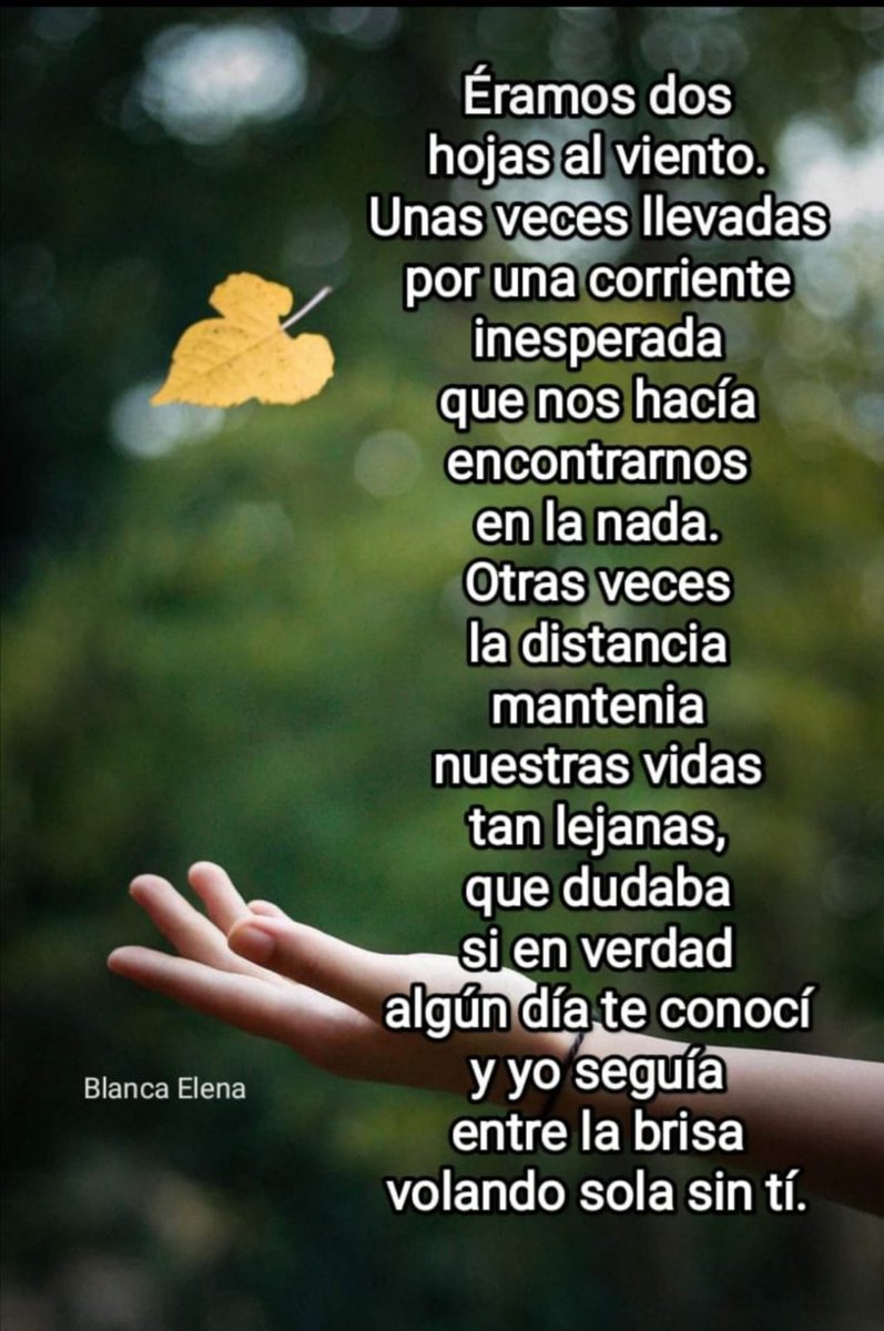 Blanca Elena🌹 (@blancarojaz) on Twitter photo 