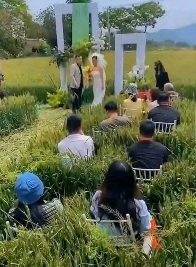 qrivasi's tweet image. Tamu: sakinah, mawadah, wahbadan gue gatel2