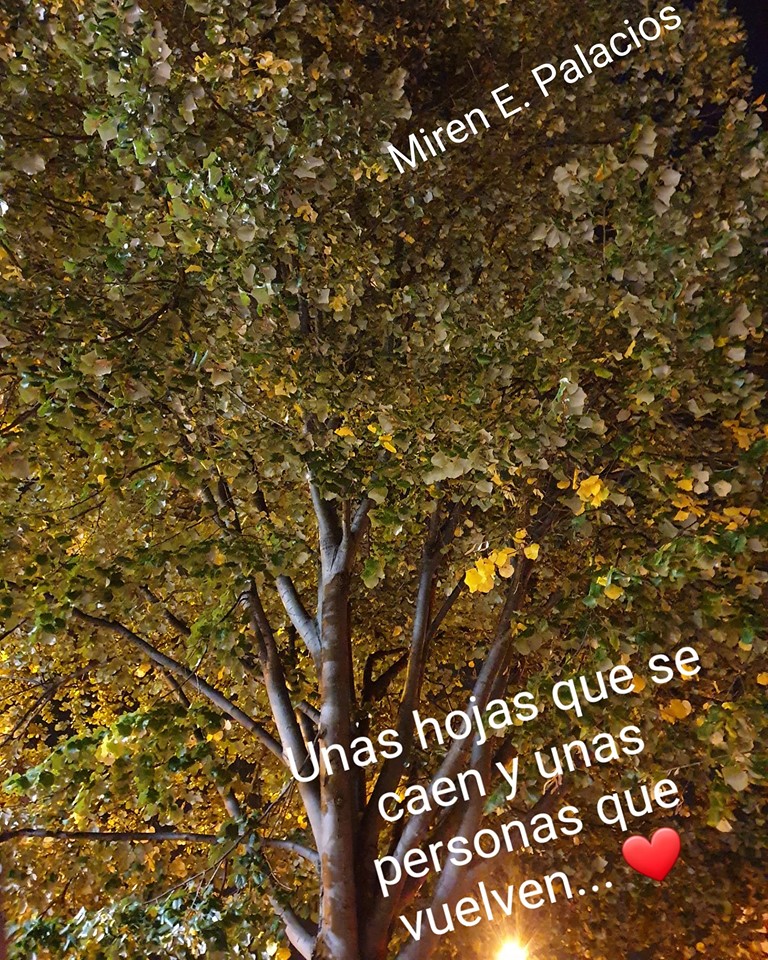 mirenepalacios's tweet photo. #Hoy y  #mañana  ¡Se feliz!   "El otoño camina a la par de ese tiempo, donde el compromiso se sella con un verso"  Abrazo de vida 💜 #abrazodevida #feliz #poetry #poetrycommunity #writer #WriterCommunity #WritingCommunity #MirenEPalacios 👇 https://t.co/wqk3XsJdCT https://t.co/gWCpFwCtX3