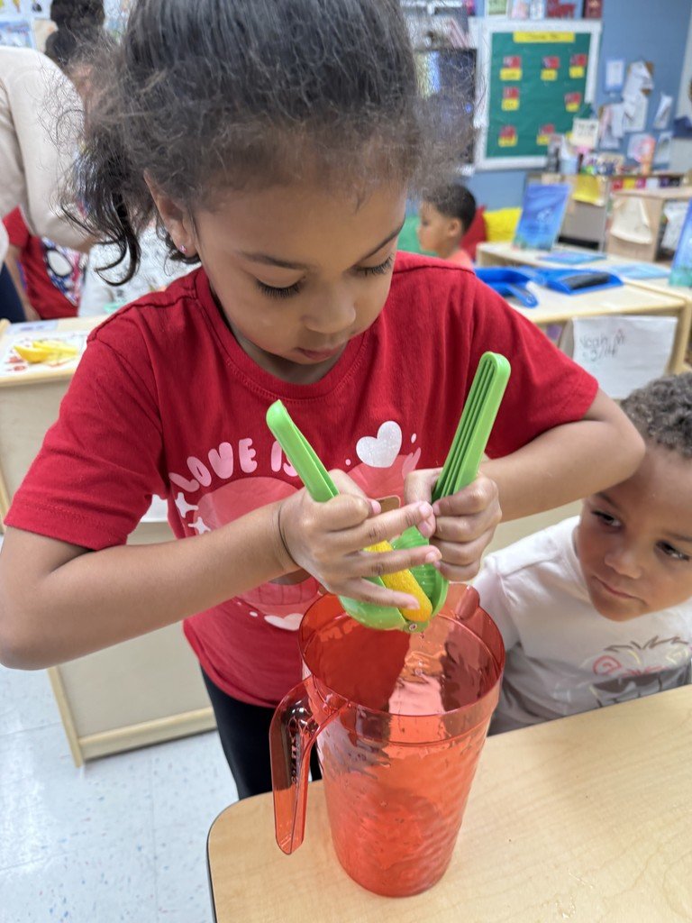 Ms. Sheehan's Universal Preschool class at Ridgeway Elementary School isn't worried about the summer heat this week, as they have been busy cooling off as they dive into their Water Study. See what they have been up to at manchestertwp.org, today!