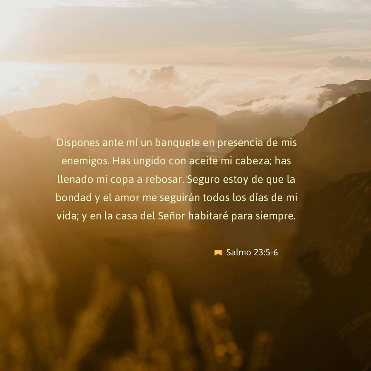 Me preparas un banquete a la vista de mis adversarios; derramas perfume sobre mi cabeza y me colmas de bendiciones. Sé que tu bondad y tu misericordia me acompañarán todos los días de mi vida, y que en tu casa, oh Señor, viviré por largos días.
