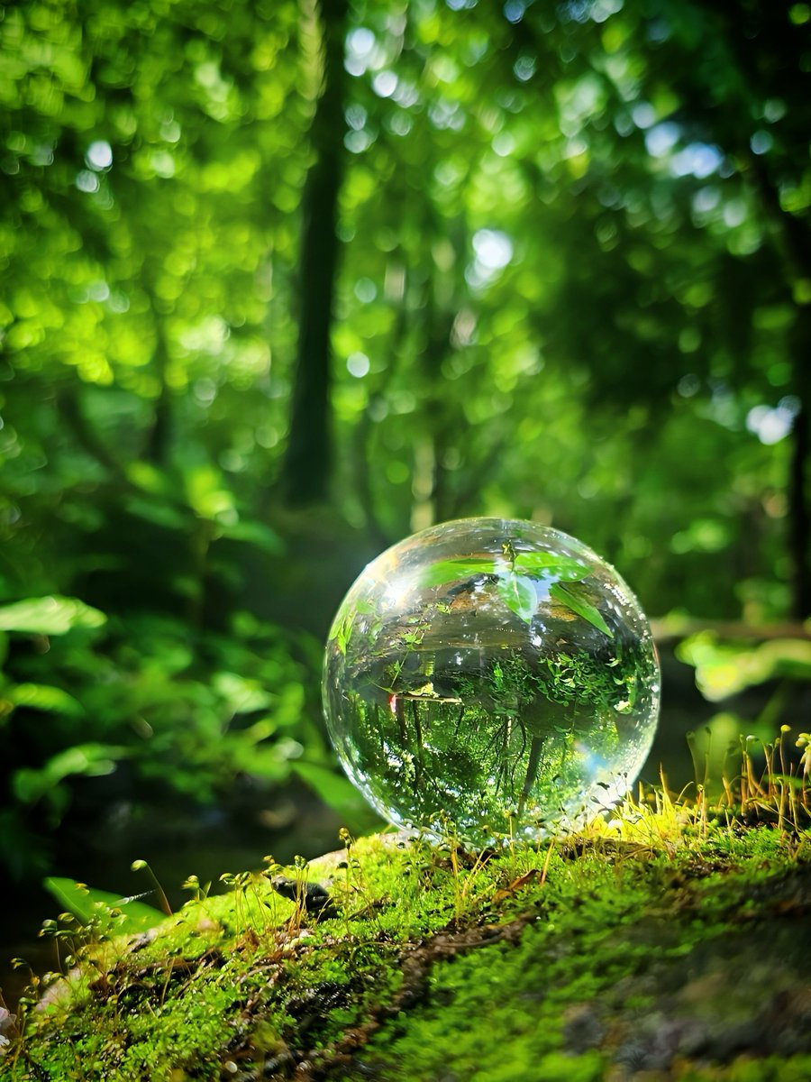 #クリエイター様の中に透明の作品をお持ちの方はいらっしゃいませんか
ガラス玉と新緑