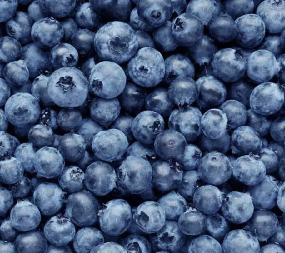 _we_love_food's tweet photo. Blueberries -OR- Strawberries? https://t.co/MoEUzQHOUL