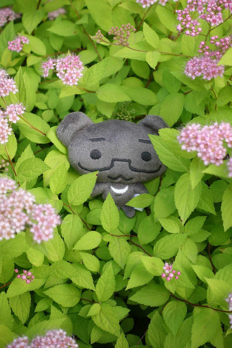 오늘 인형와서 너무너무 신나서 사진 엄청 찍었어요 귀엽죠