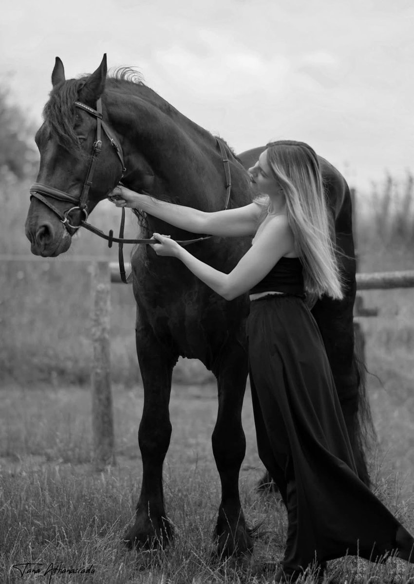 Lily (@sweetmystery21) on Twitter photo 