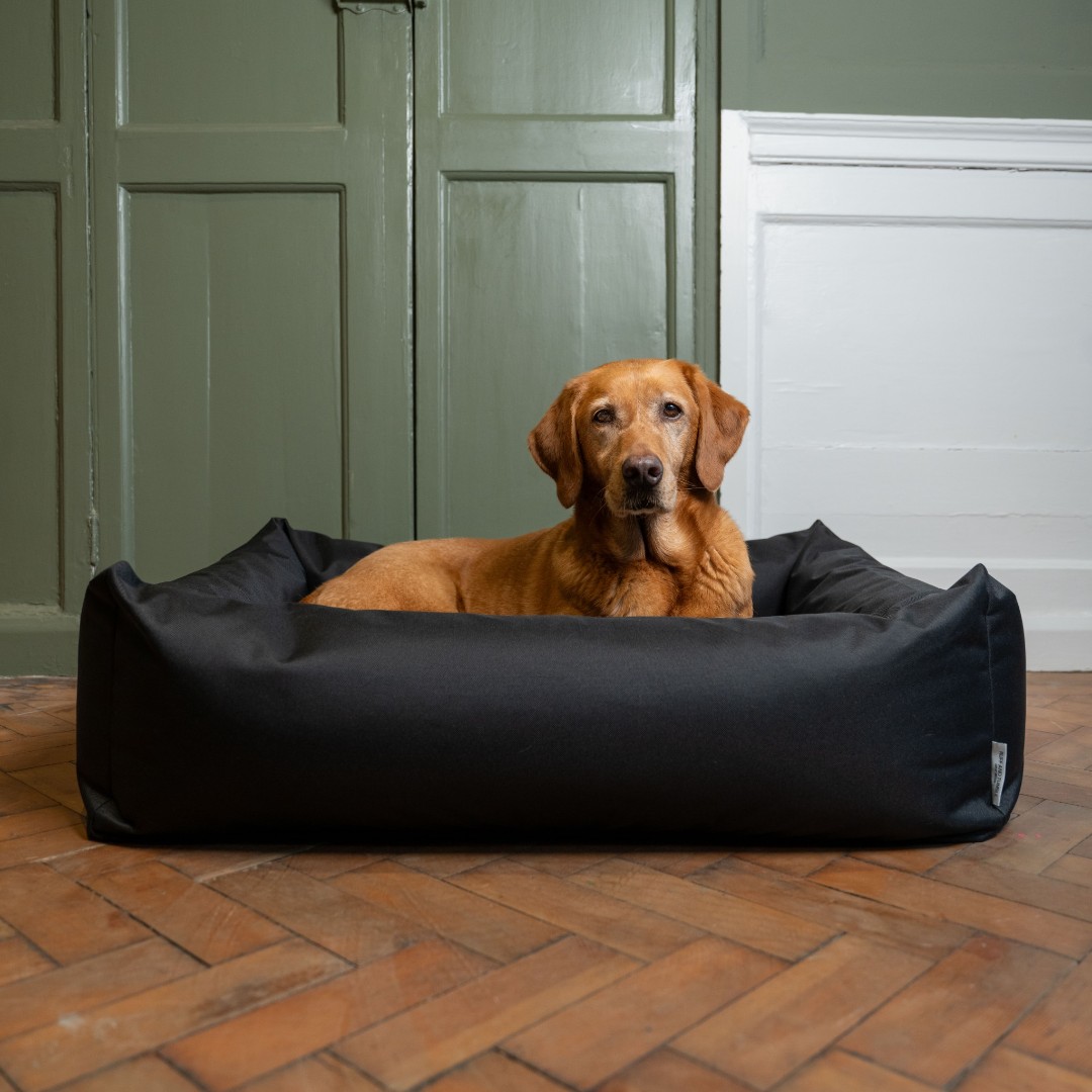 Have you put your dog's bed to the test? Take the kneel test today!

If you can feel the floor beneath your knees, your dog is missing out on necessary support. A well-cushioned bed makes all the difference for growing pups and aging joints alike. It might be time for an upgrade!