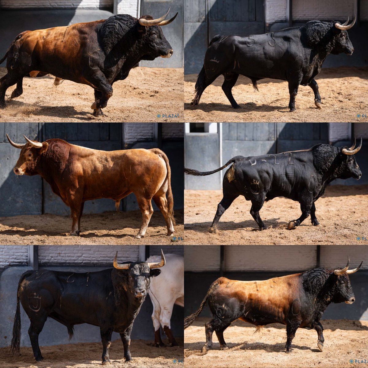 AT.CristodelaSalud tweet media