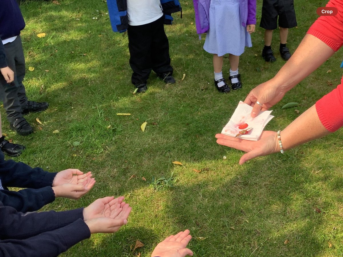 Richard Wakefield C.E Primary Academy tweet media