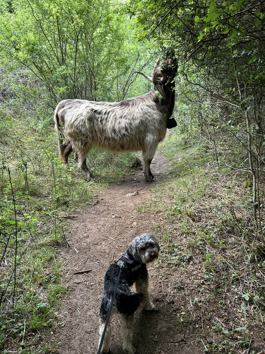 Kettering Wildlife corner tweet media