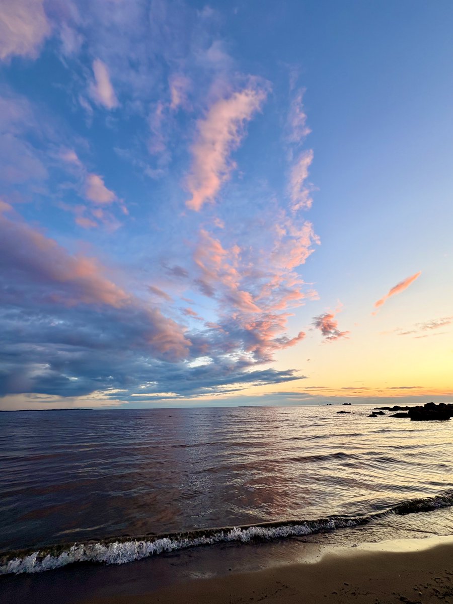 SoulAtSea ✨ tweet media