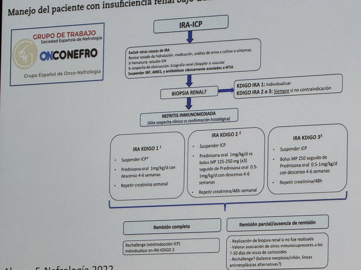 Mariano R Farias (@marianofarias20) on Twitter photo #ERAEDTA
Vienna
Wonderfulls talks about Onco Nephrology by <a href="/PepaSolerR/">Maria Jose Soler</a> <a href="/ClaraGCarro/">Clara García Carro</a> #ERAEDTA
Vienna
Wonderfulls talks about Onco Nephrology by <a href="/PepaSolerR/">Maria Jose Soler</a> <a href="/ClaraGCarro/">Clara García Carro</a>