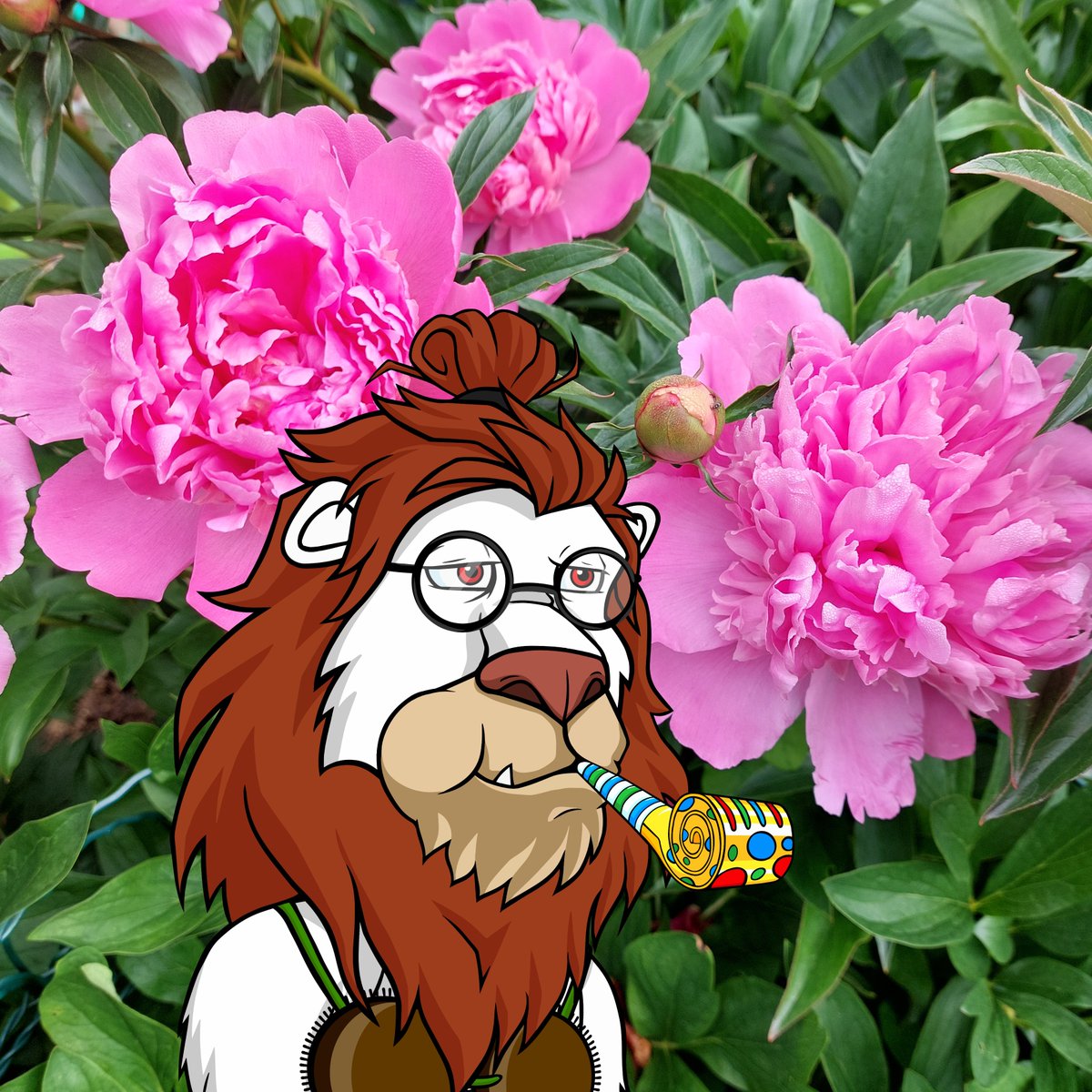 GM,Pride🦁👑
#OnWednesdayWeWearPink - even the peonies got the memo 😉🩷 Greetings from Coco Garden, where pink isn't given, but earned by gardeners🌿➡️🌸 A nice  reminder that effort and commitment bring lovely and valuable results✨️
$LAZY #ROAR #CocoPride <a href="/krypto_toujours/">CatWalk💫</a>