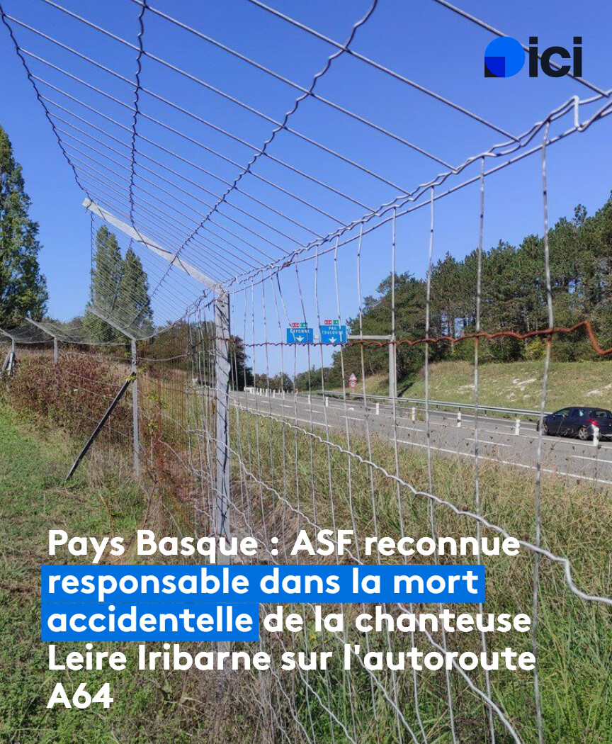 Un sanglier qui était passé à travers un grillage défectueux, avait provoqué un carambolage fatal