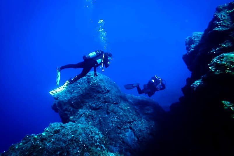 Jeanne Morel tweet media